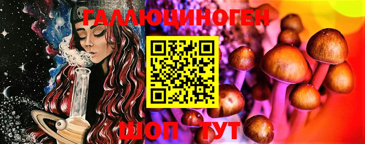 Галлюциногенные грибы Psilocybe Людиново