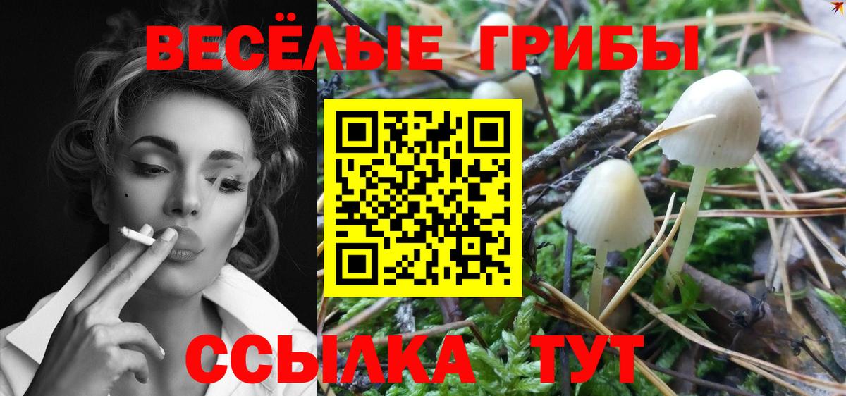 купить наркотики сайты  Вход с VPN  Людиново  Псилоцибиновые грибы ЛСД  Галлюциногенные грибы Psilocybine cubensis 